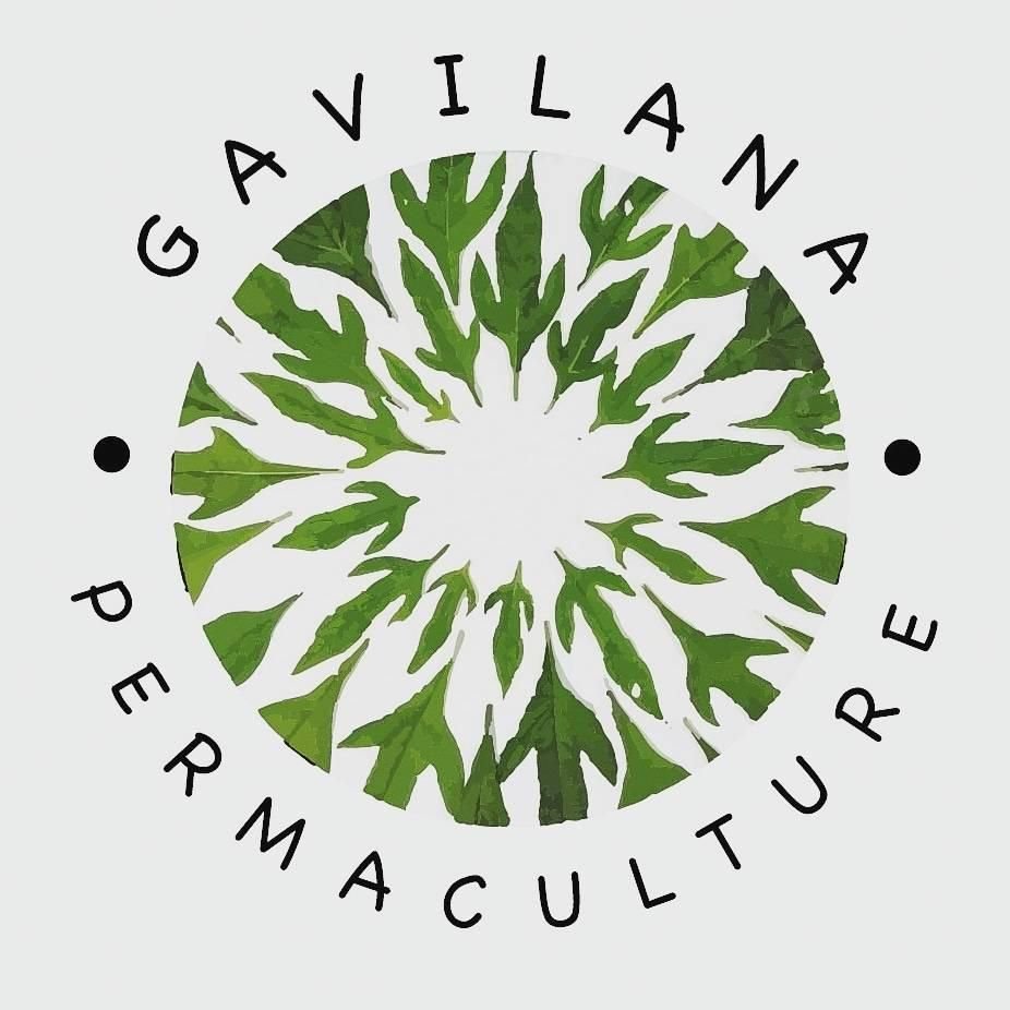 Gavilana Permaculture